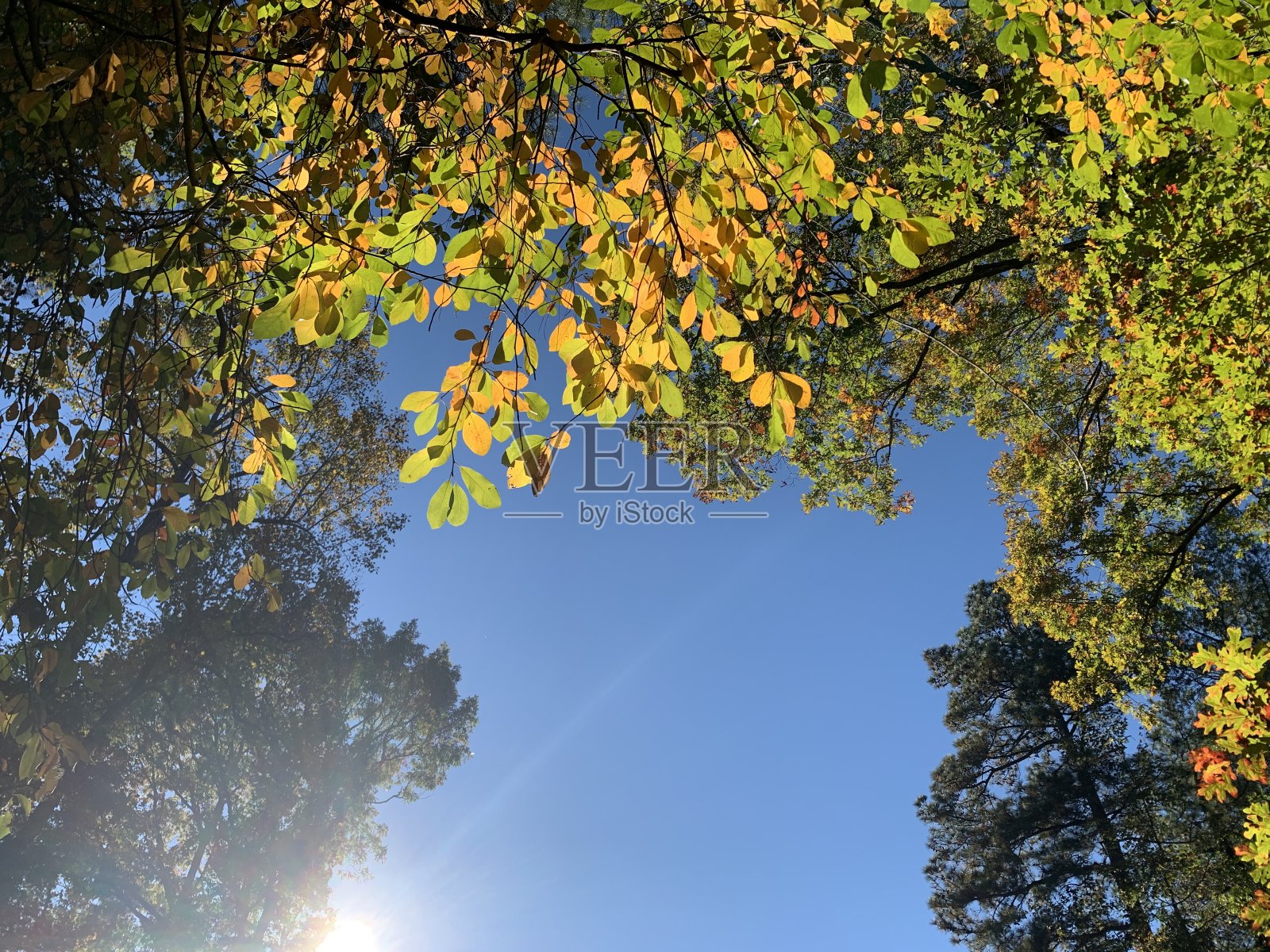 查找照片摄影图片