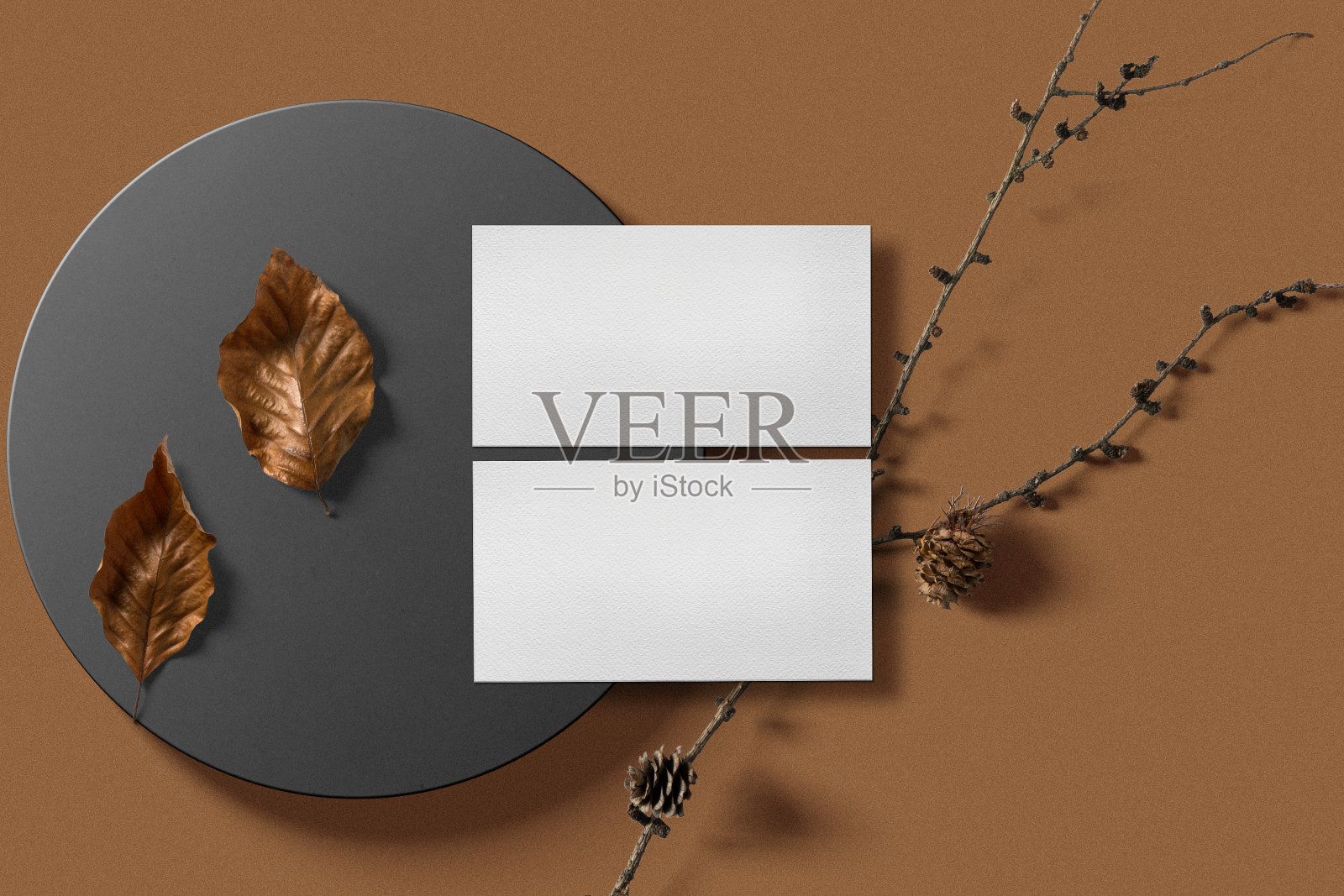 清洁最小的名片模型盒与stick秋天的背景照片摄影图片