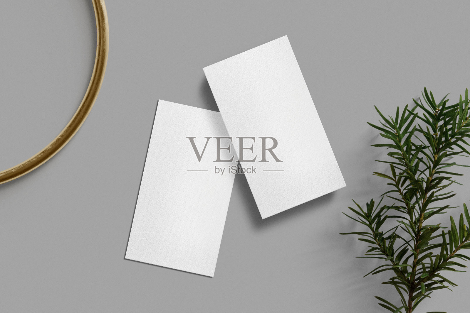 清洁最小的名片模型的颜色背景与环和针叶树照片摄影图片