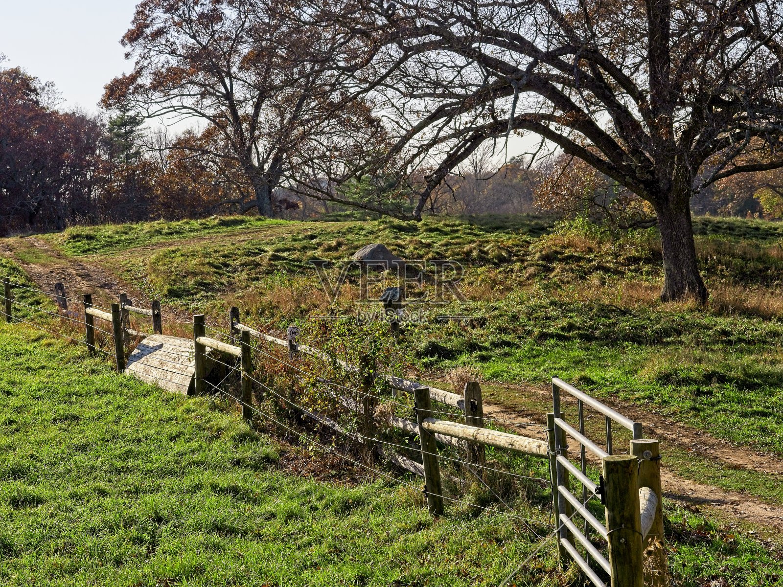 阿普尔顿农场是马萨诸塞州最古老的持续经营的农场之一,拥有许多徒步旅行路线和重要的野生动物栖息地,是保留区受托人的一部分照片摄影图片