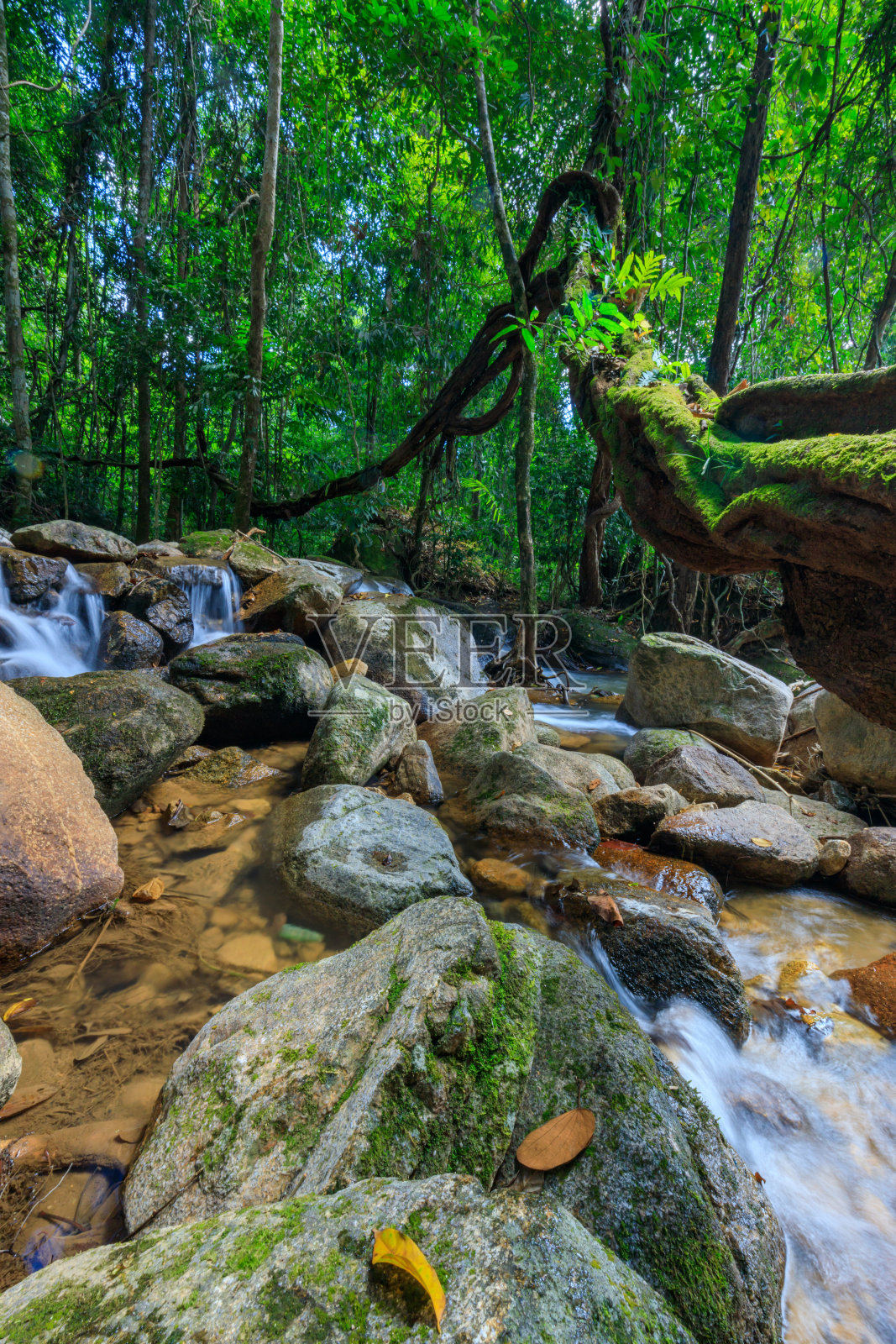泰国的自然背景照片摄影图片
