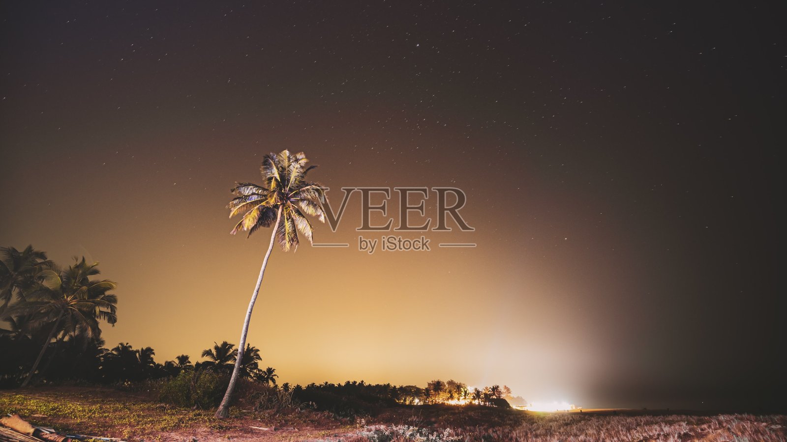 印度果阿。真正的夜空之星。自然星空背景上的椰树棕榈树。4K,延时照片摄影图片