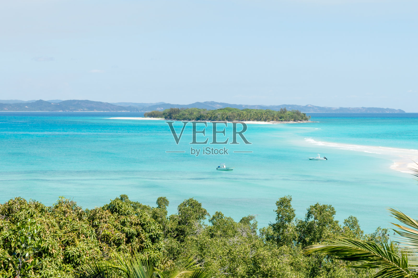 爱管闲事的Iranja kely在Nosy be马达加斯加照片摄影图片