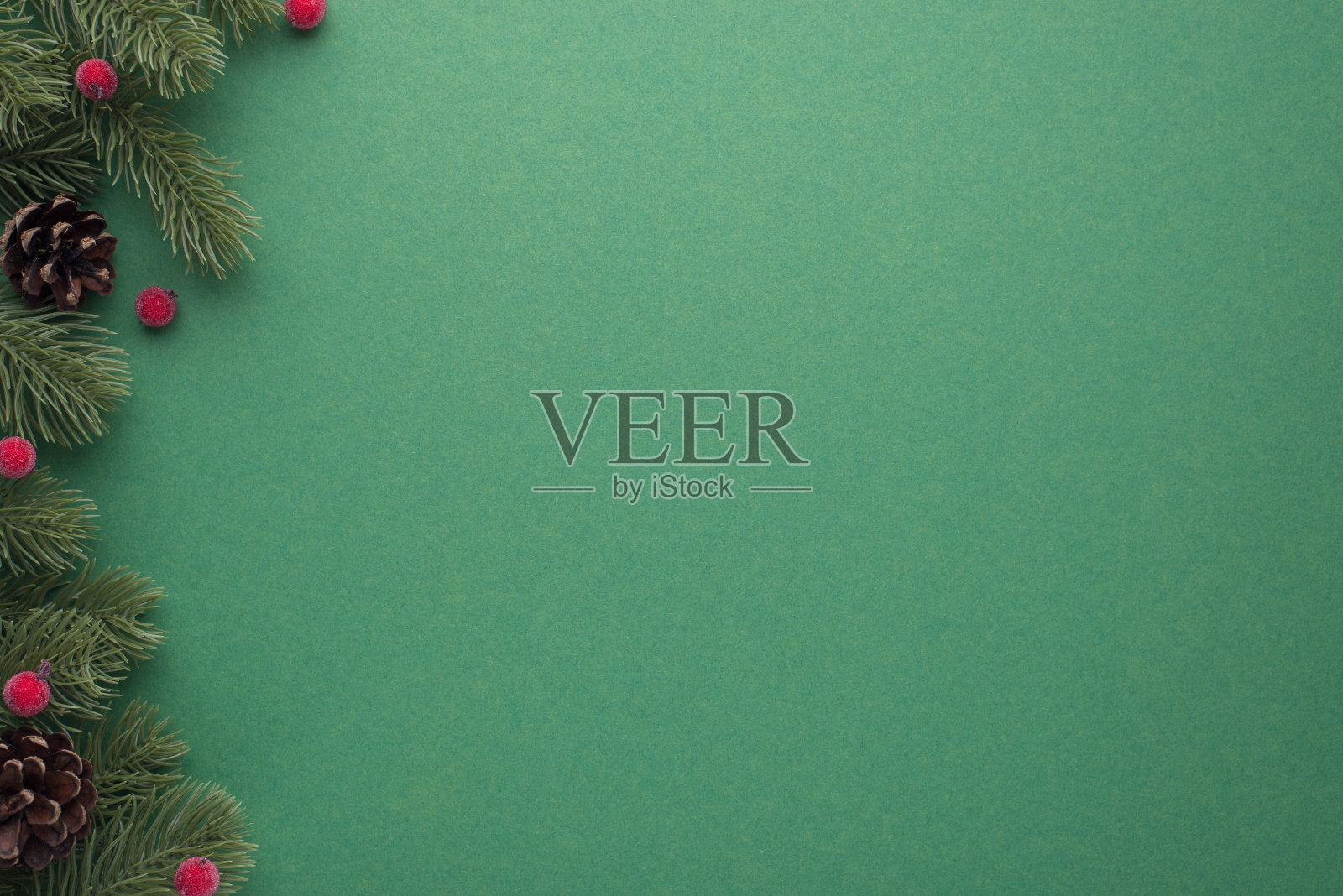 新鲜的松枝与球果和红色浆果在孤立的绿色背景与空白的顶部视图照片照片摄影图片