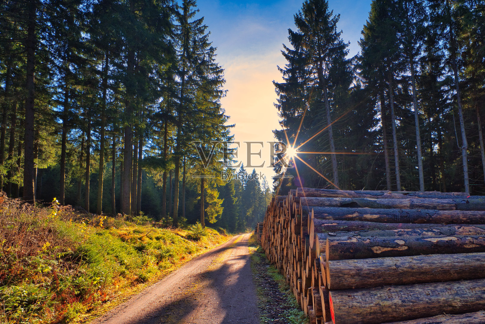 图林根州的Neustadt am Rennsteig照片摄影图片