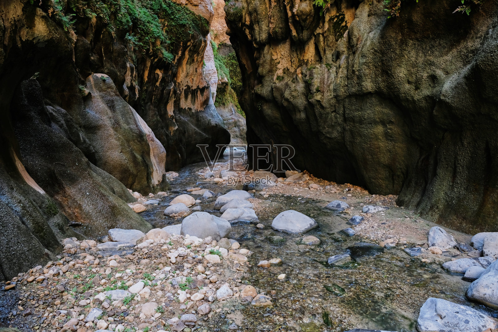 约旦哈萨峡谷中的水和石头照片摄影图片