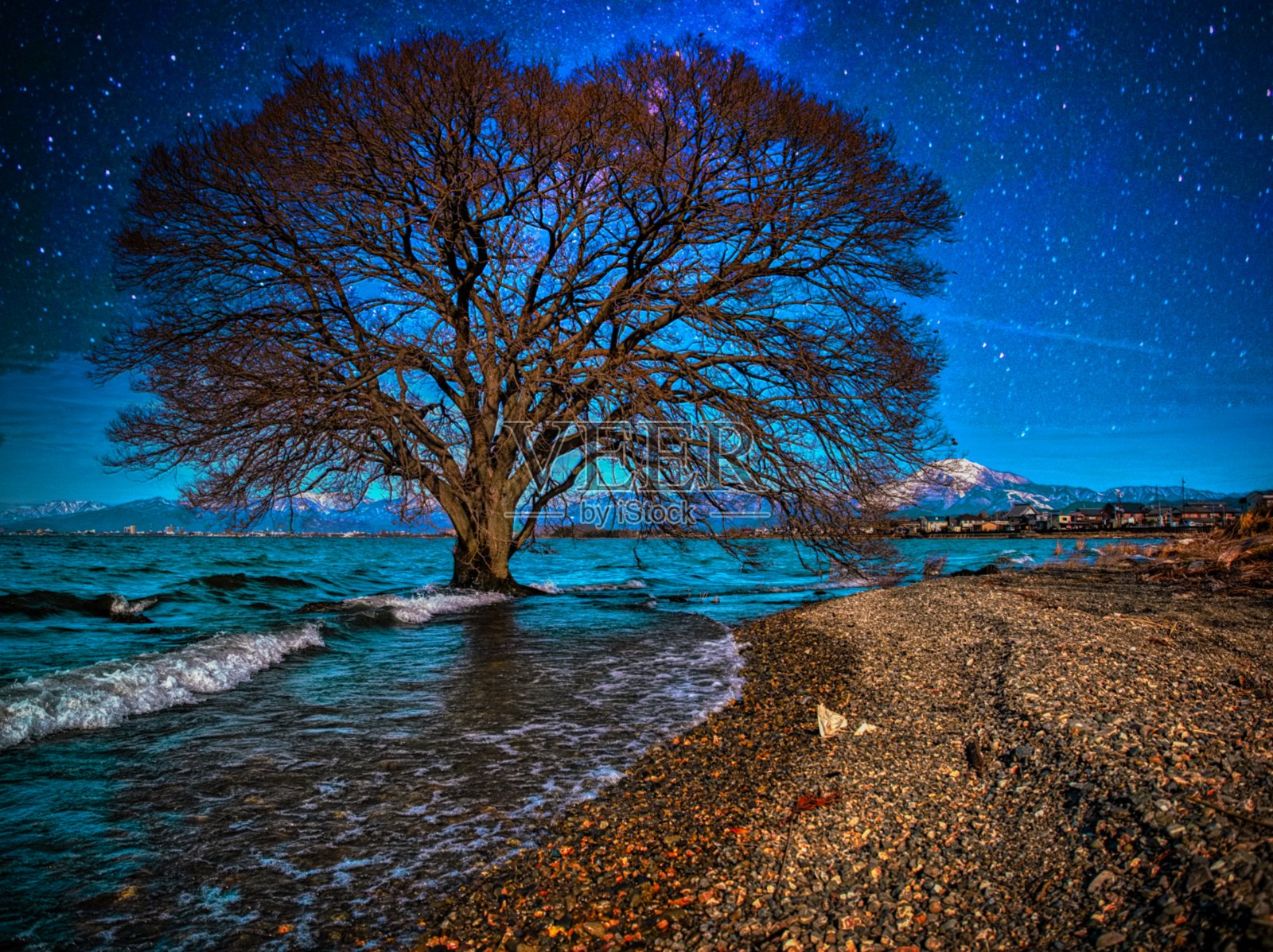 日本landscape1143树照片摄影图片