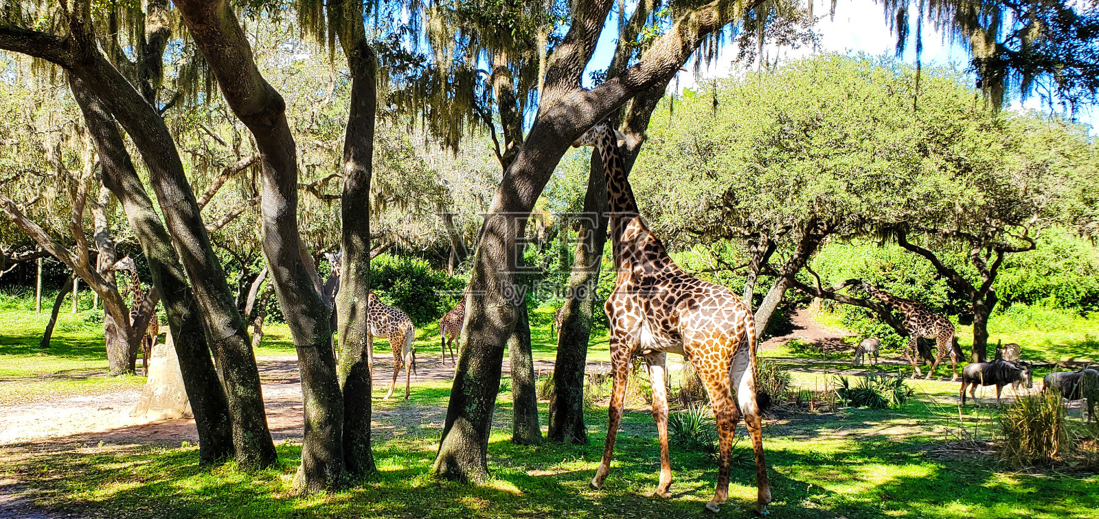 食物和旅行照片摄影图片