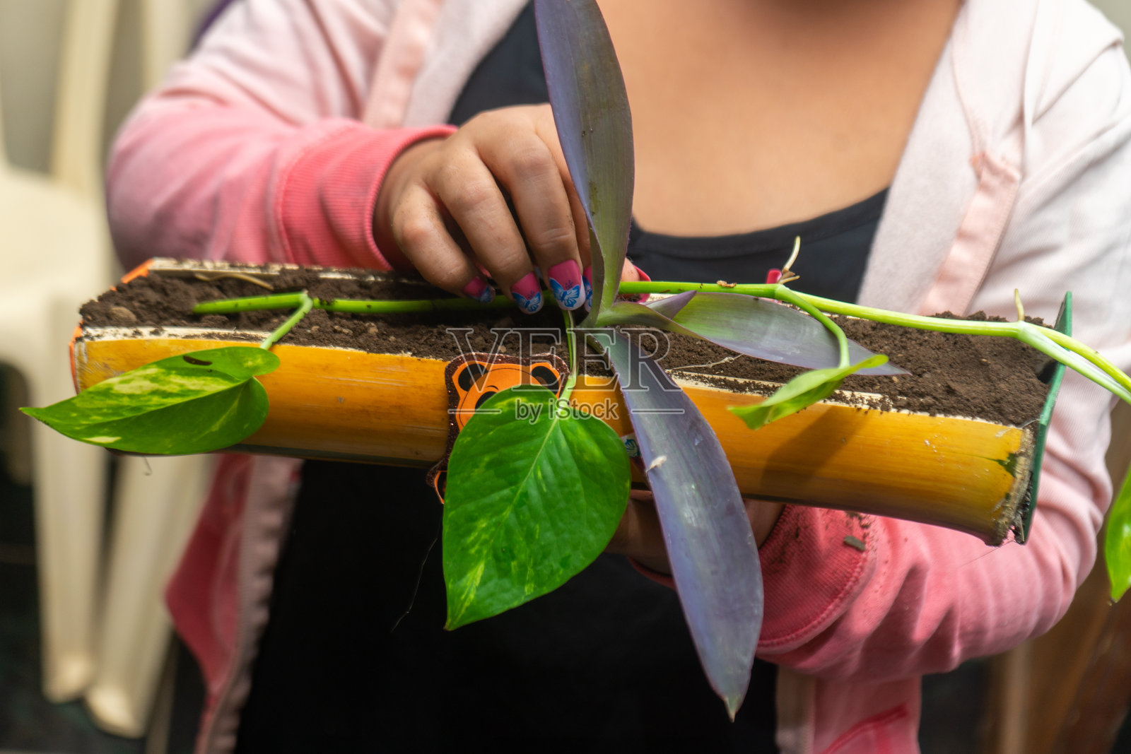 一个面目全非的女孩拿着一株植物照片摄影图片