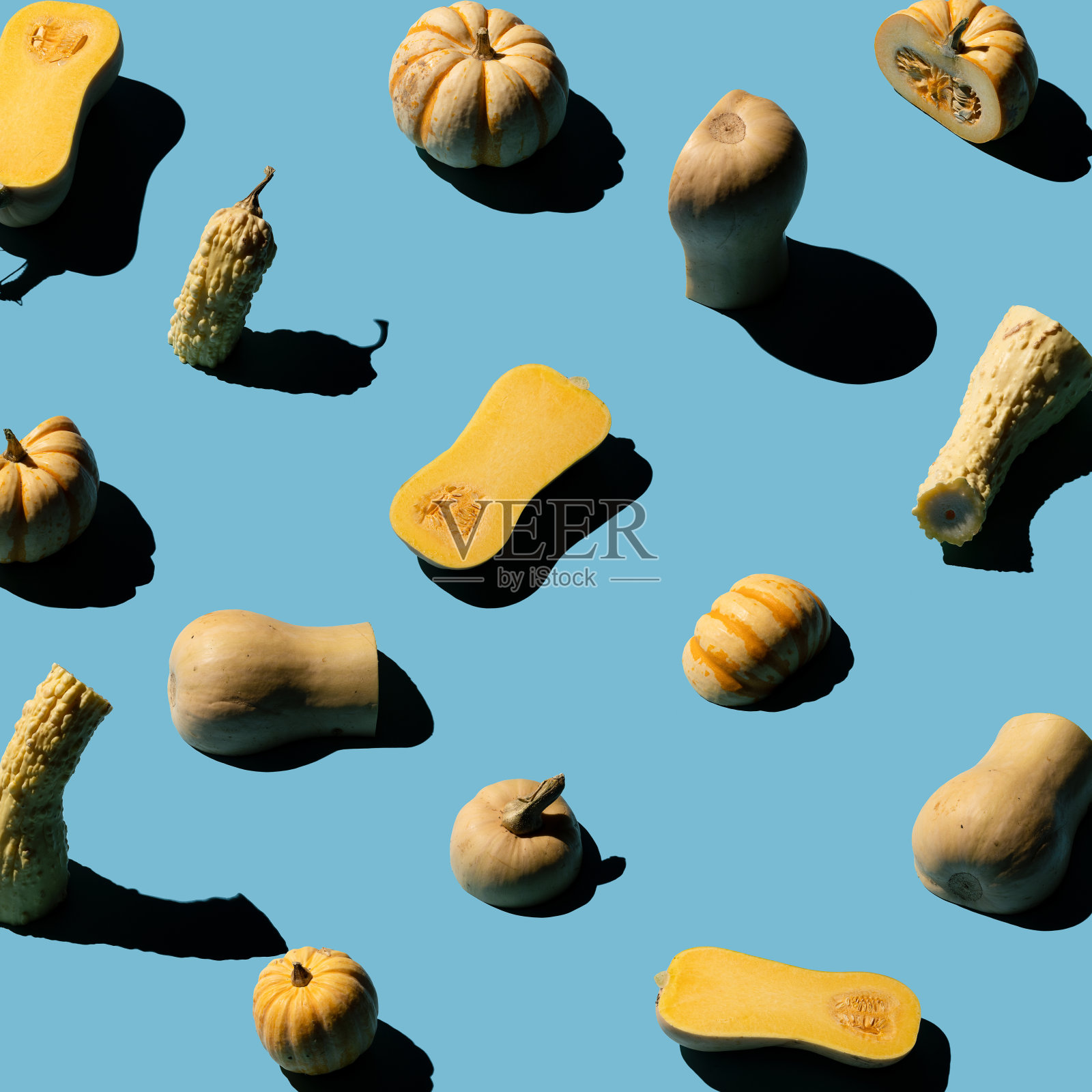 南瓜图案,南瓜在蓝色背景俯视图照片摄影图片