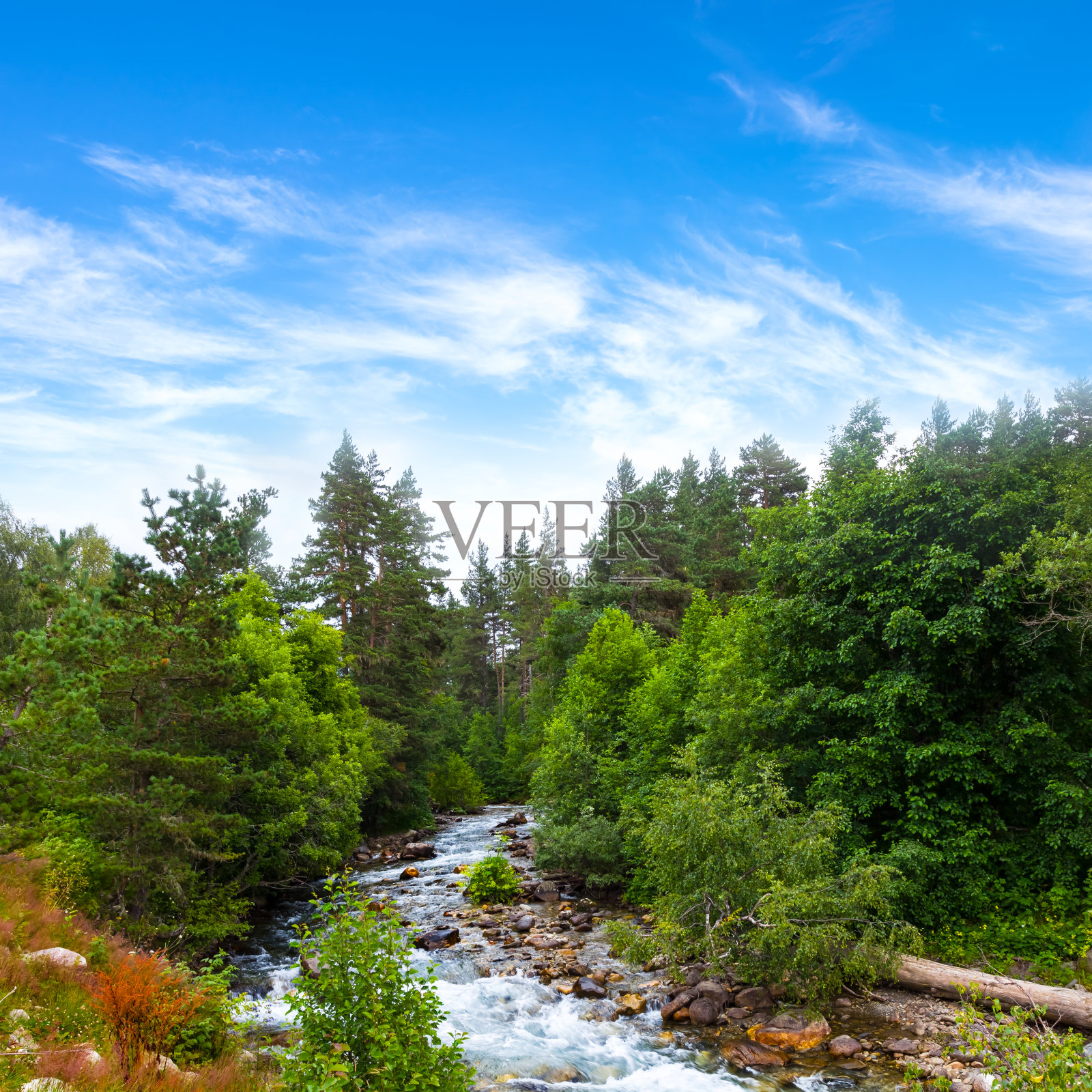 河流穿越高山森林,高山峡谷旅游风光照片摄影图片