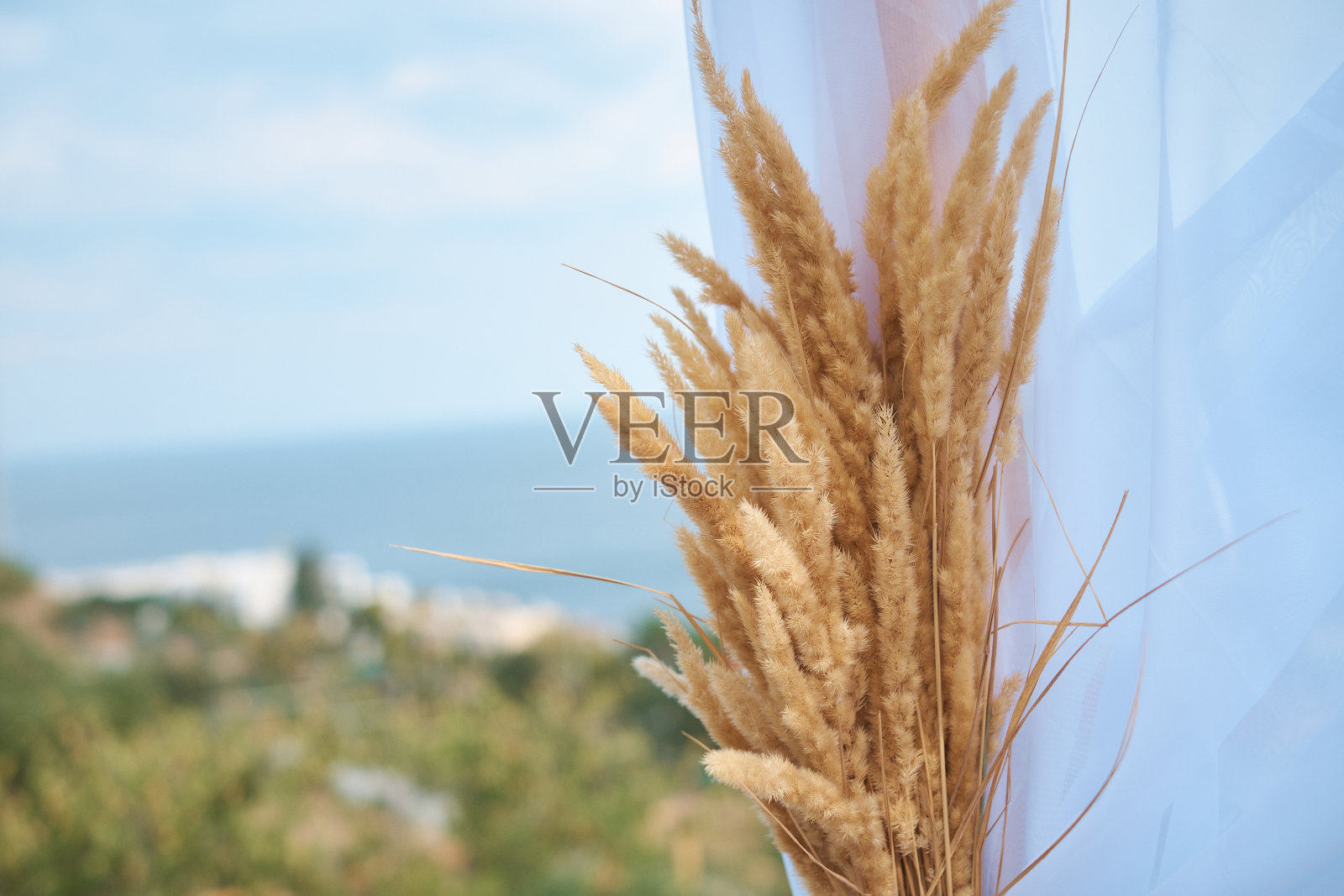 婚礼布景在海滩上美丽的风景派对上照片摄影图片