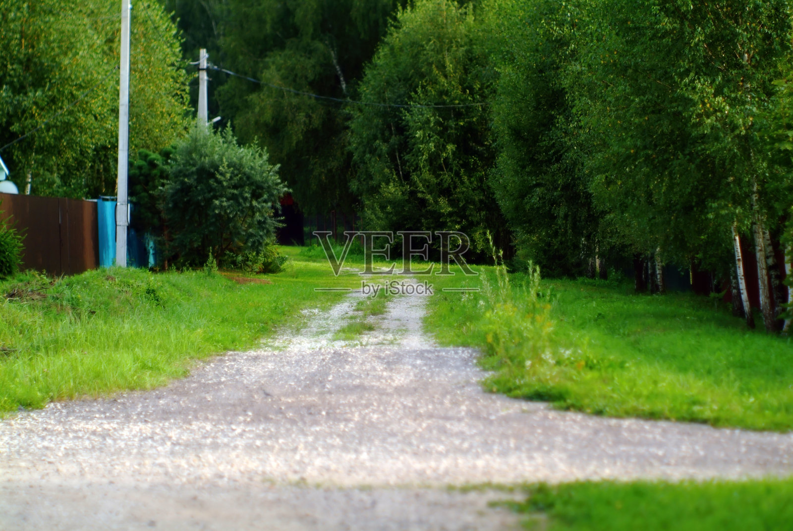 在村子里过马路照片摄影图片