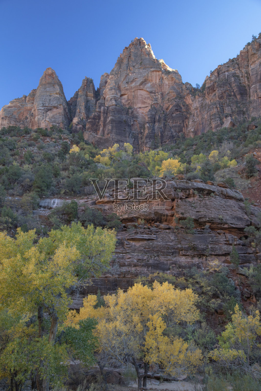 锡安2021年秋照片摄影图片