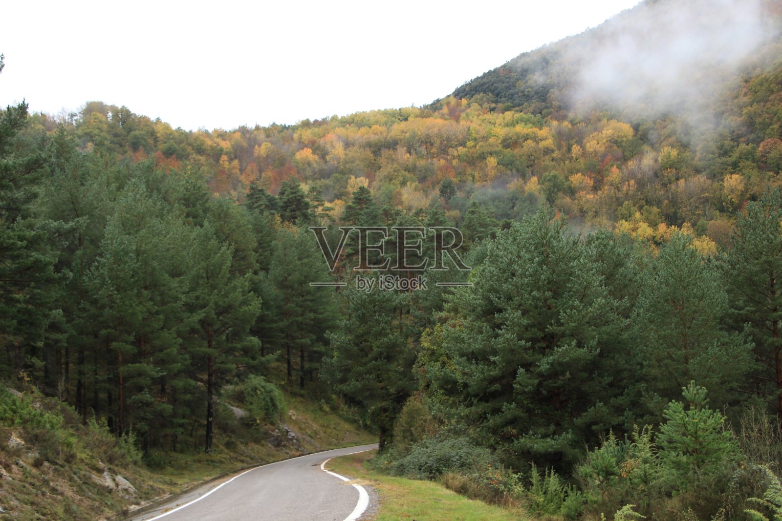 路在秋天照片摄影图片