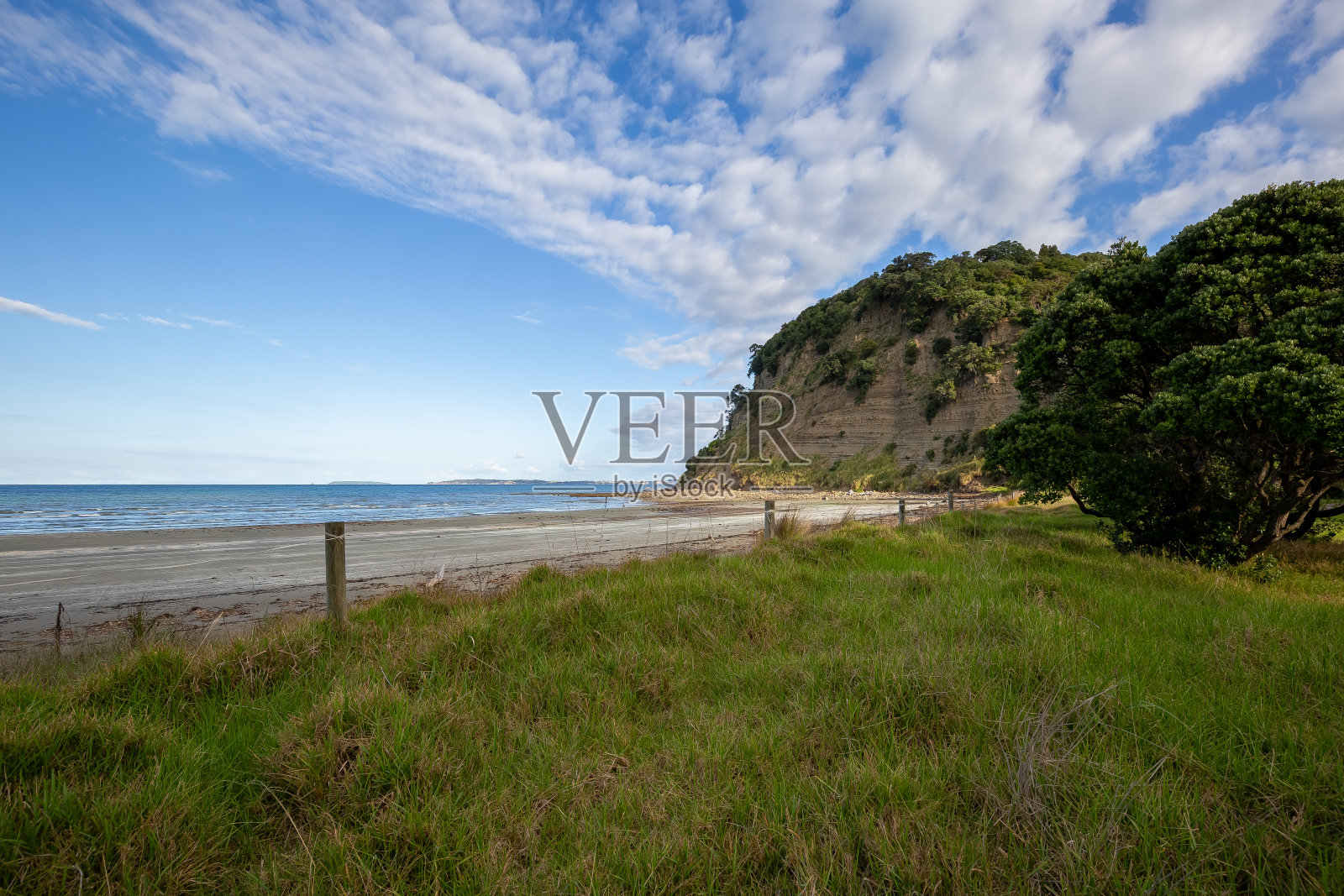 新西兰奥克兰文德霍尔姆地区公园照片摄影图片