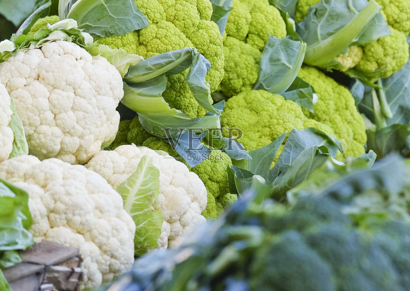 在农贸市场购物照片摄影图片