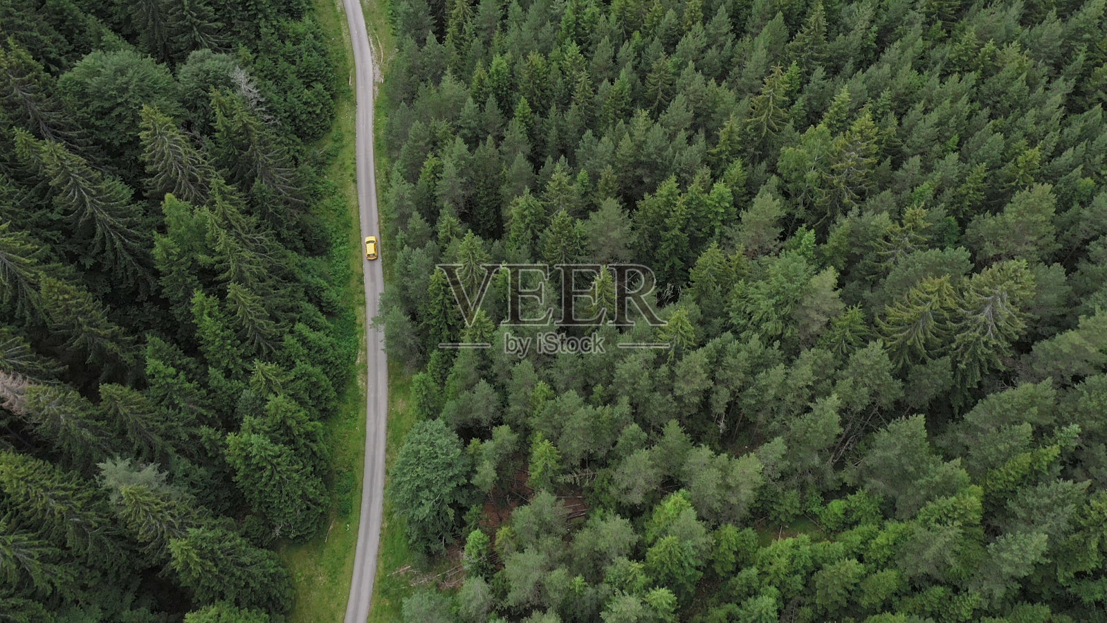 穿越森林的公路旅行照片摄影图片