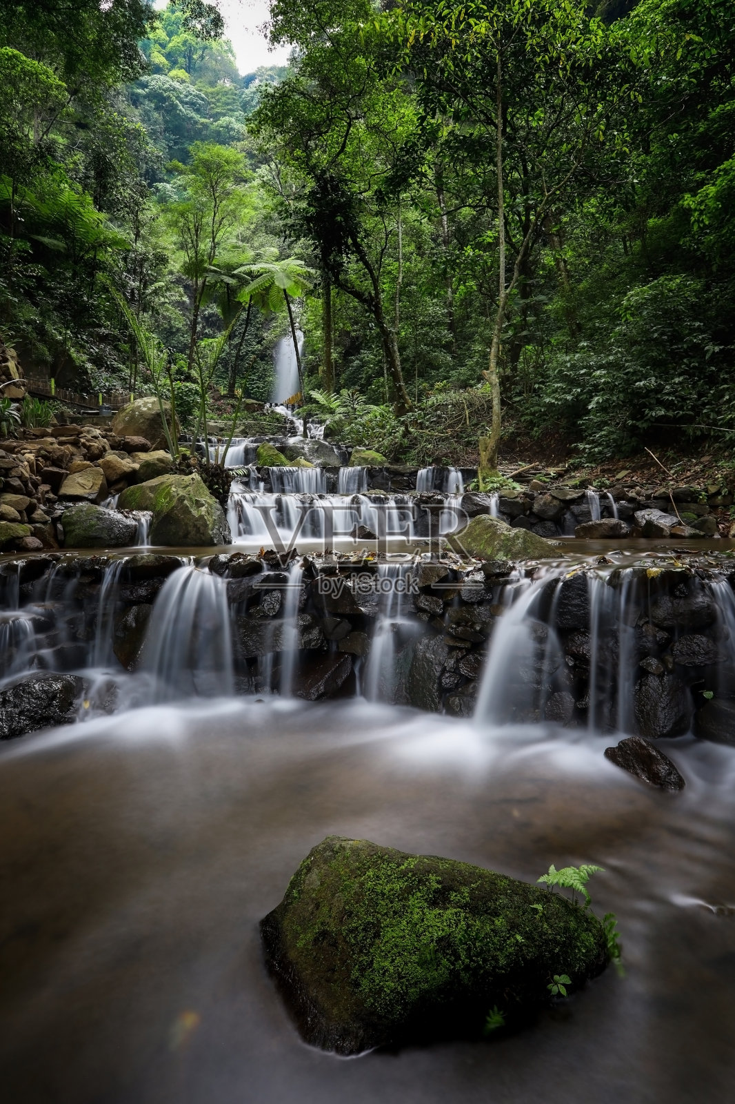 森林里的瀑布景色是宁静的,气氛是戏剧性的照片摄影图片