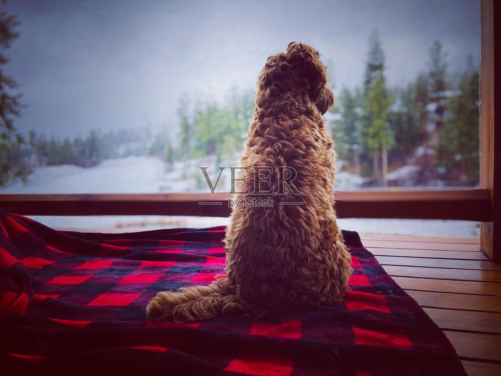 最好的观点照片摄影图片