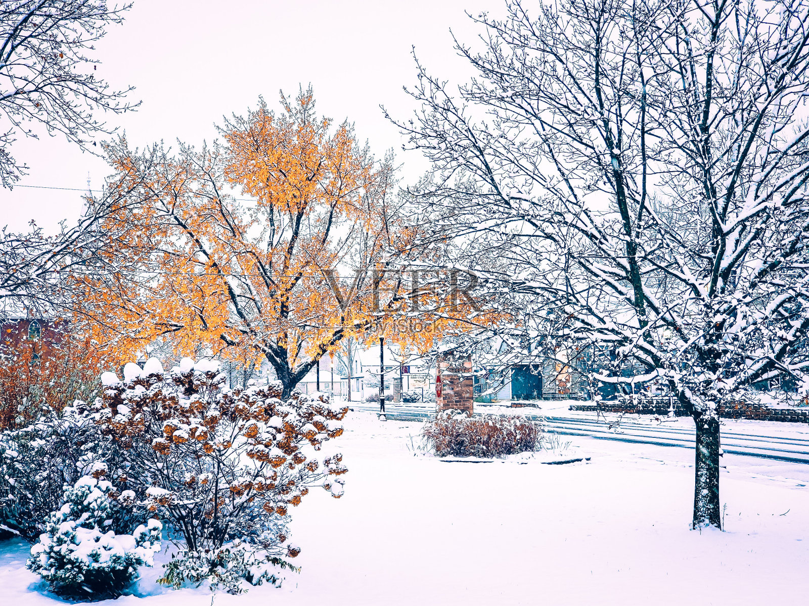 11月的第一场雪照片摄影图片