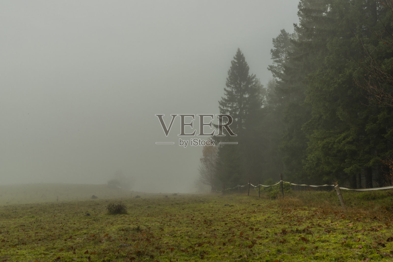 鲁齐克山上Kytlice村附近的牧场,有雾照片摄影图片