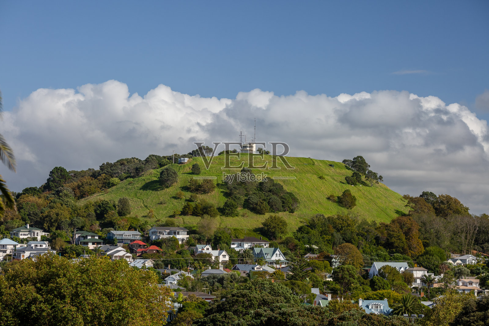 新西兰奥克兰北岸市附近的住宅照片摄影图片