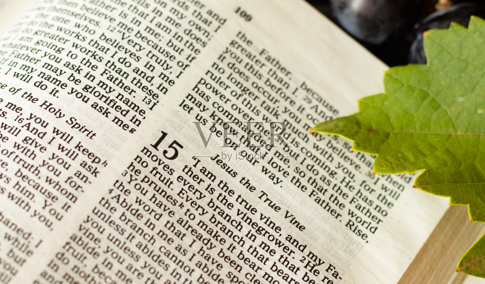 特写开放的圣经与新鲜的葡萄树叶和葡萄照片摄影图片