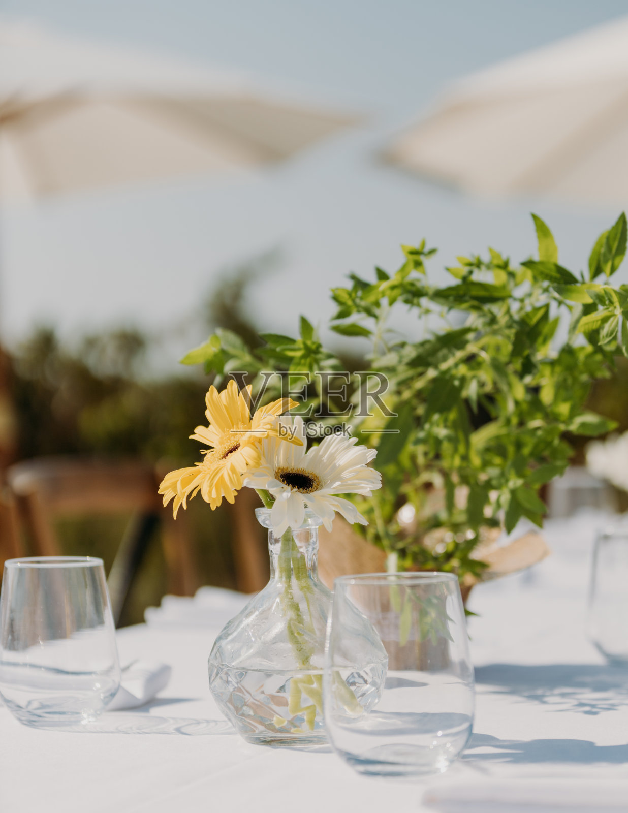 夏季婚礼招待会照片摄影图片