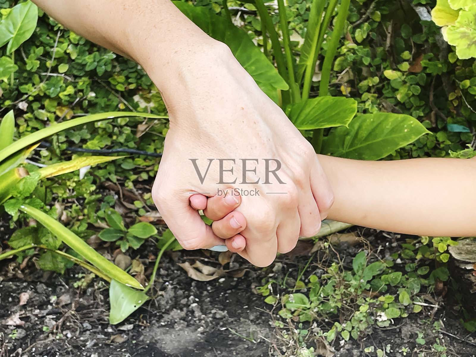 母亲和孩子手牵着手,加州照片摄影图片