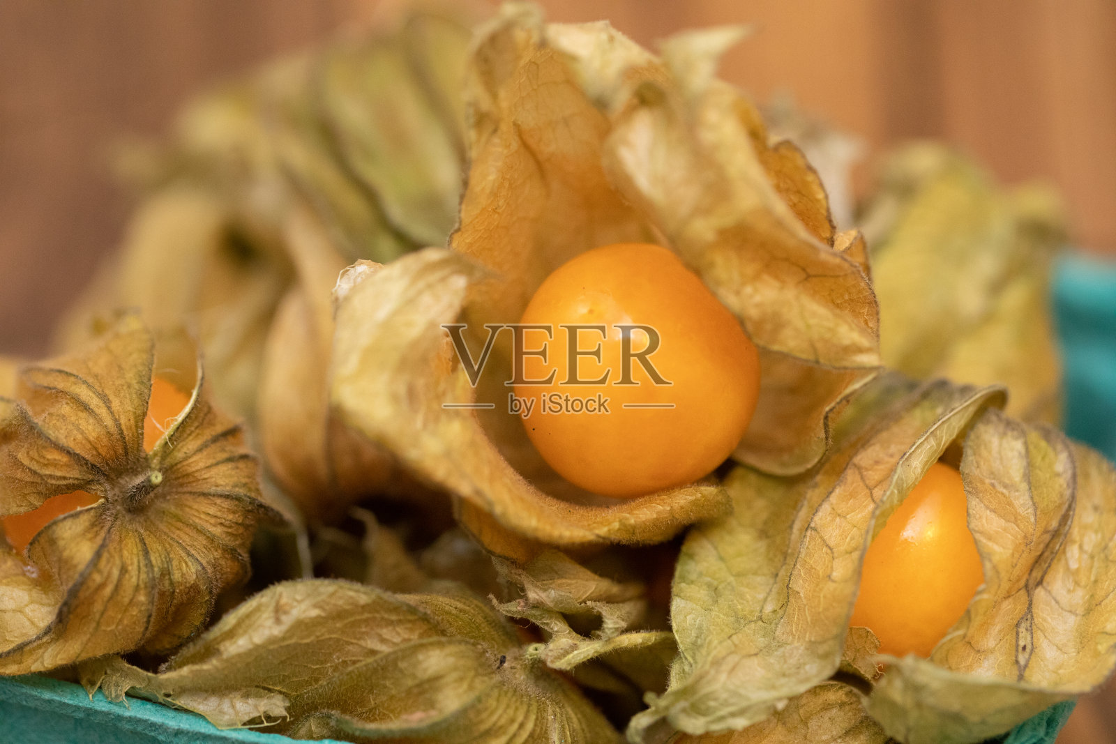 醋栗角照片摄影图片