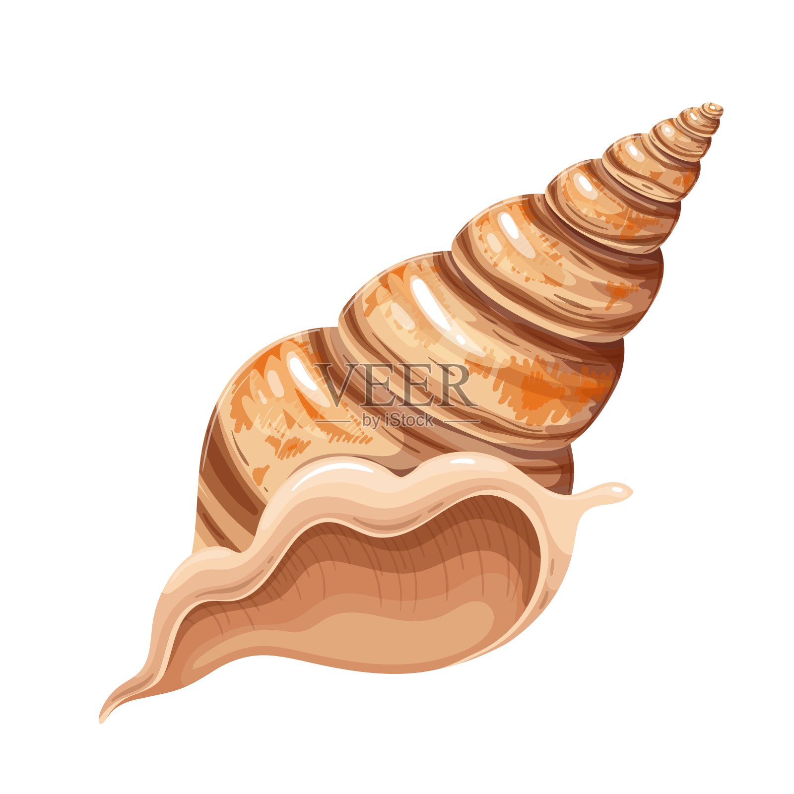 贝壳图标,水下主题插画图片素材