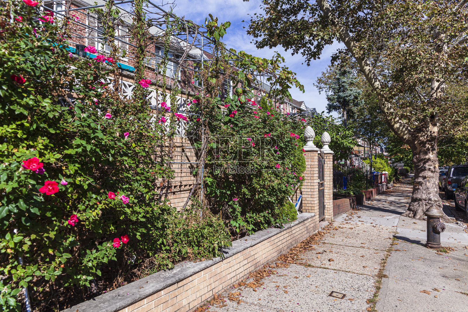 沿着街道的多户联排别墅型建筑照片摄影图片