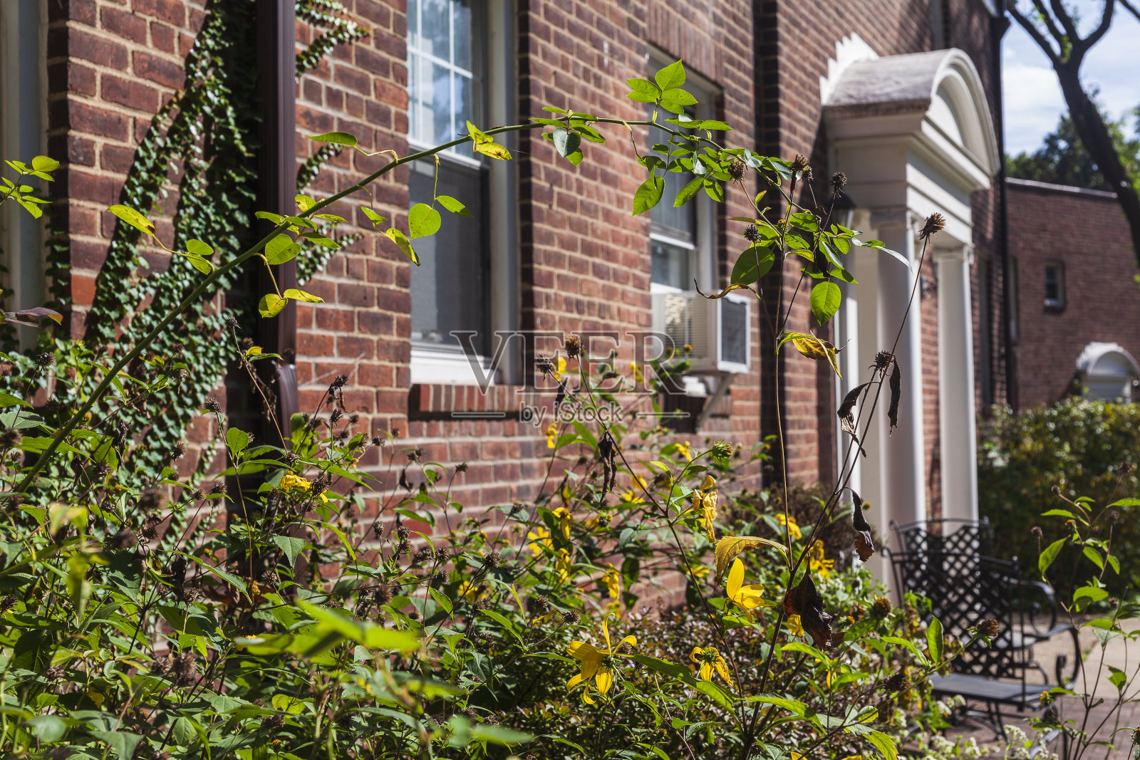 在一个维护良好的中等收入社区的多户住宅照片摄影图片