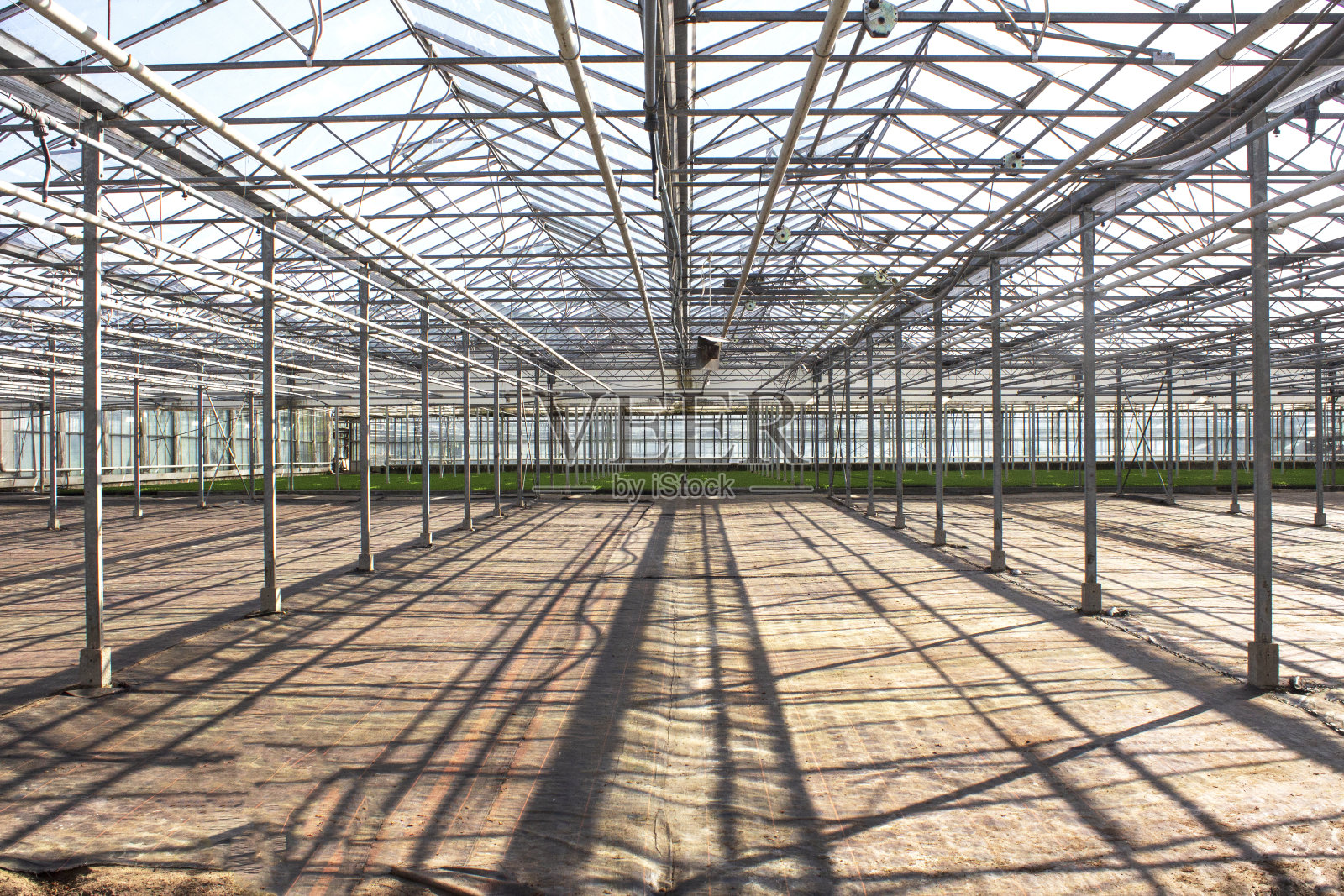 温室照片摄影图片