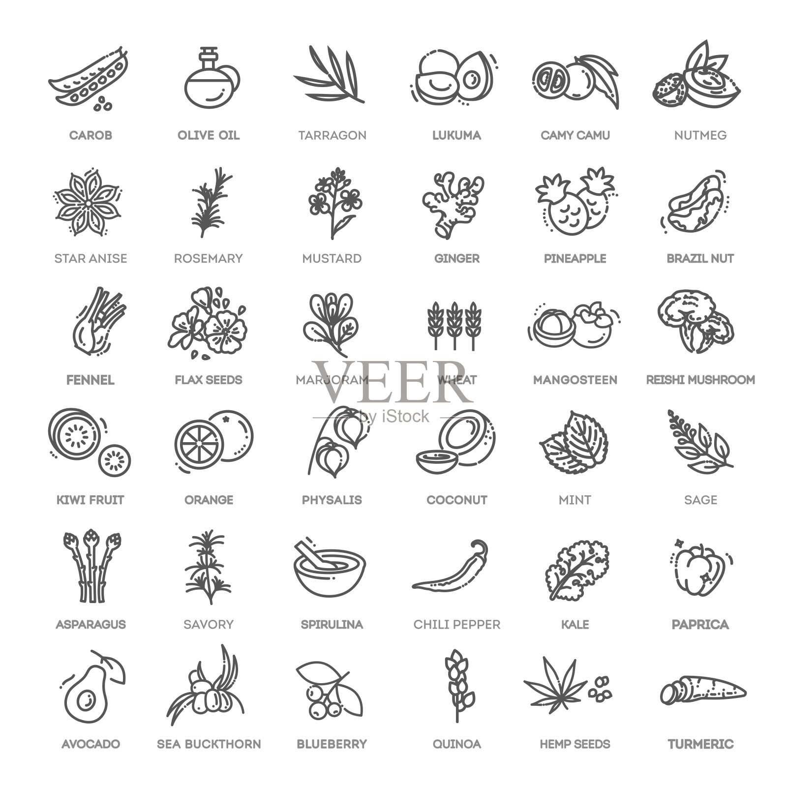 超级食物线矢量图标。向量有机食品插画图片素材