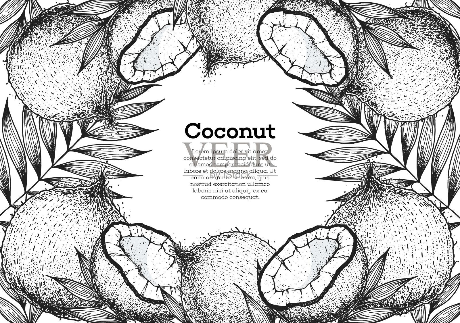 椰子手绘矢量插图。复古设计草图。手绘插图。椰子和棕榈叶。健康食品。插画图片素材