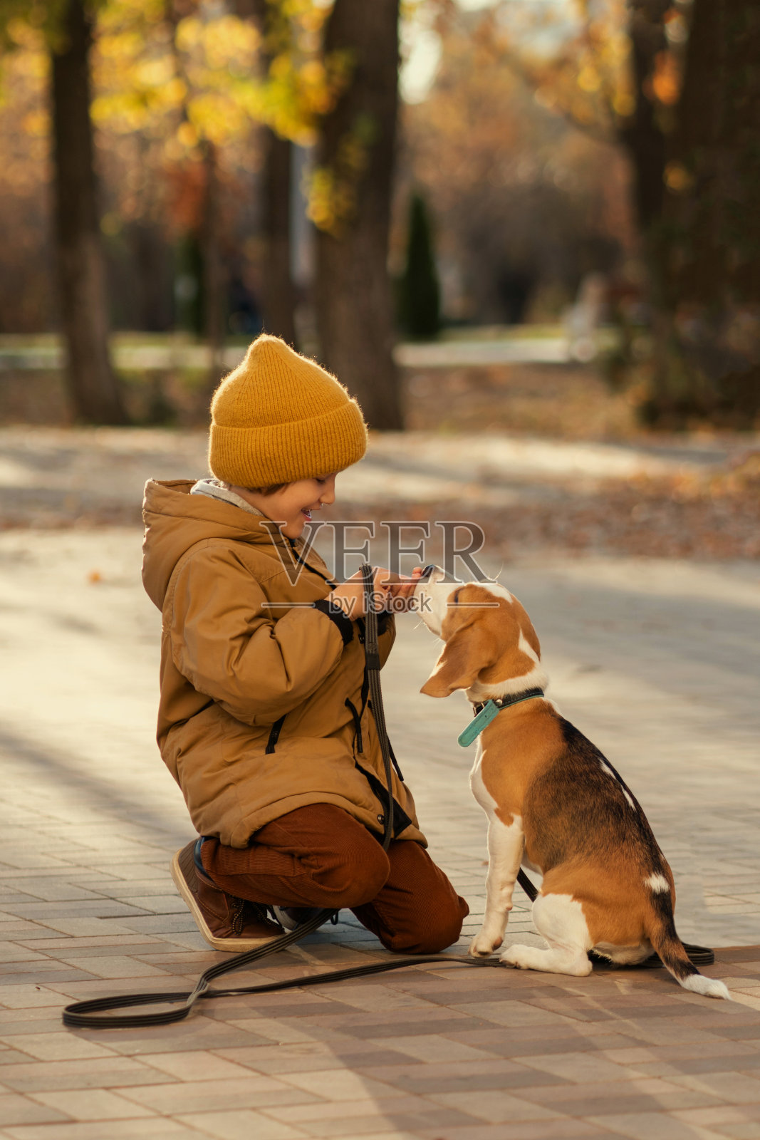 小男孩遛狗照片摄影图片