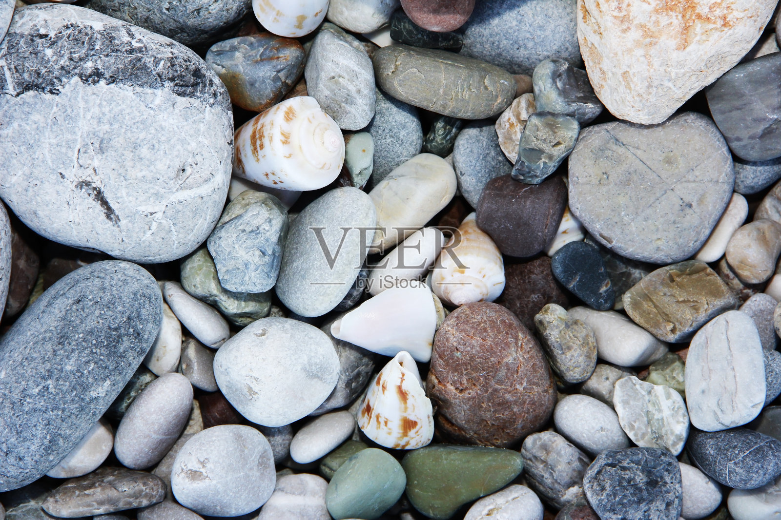 五颜六色的海石和白色的贝壳照片摄影图片