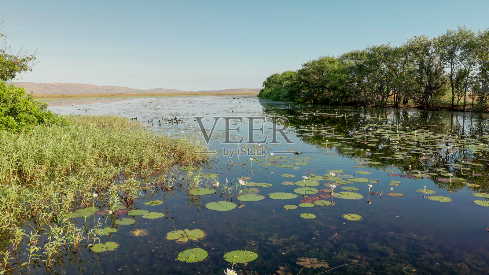 旱季清晨马勒古水潭的广角视图照片摄影图片