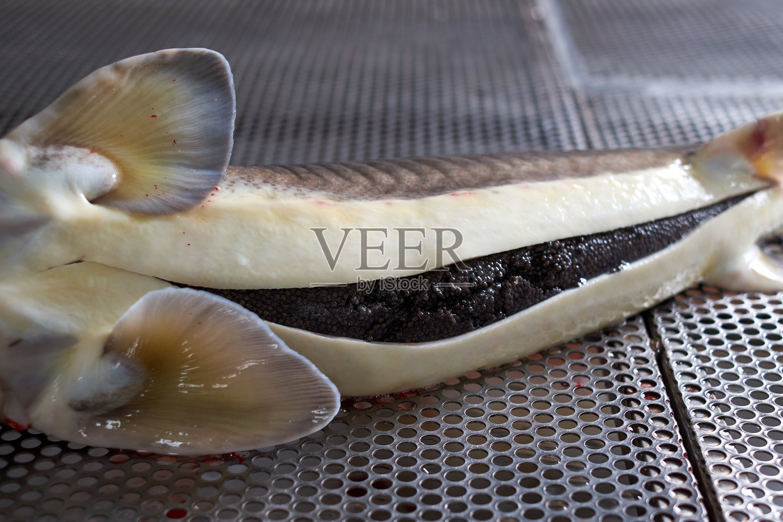 黑色鱼子酱近距离孤立的黑色背景照片摄影图片