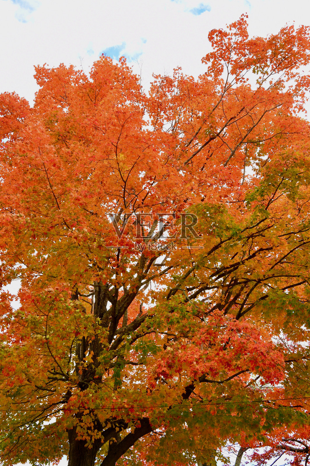 缅因州肯纳邦克波特的秋天照片摄影图片