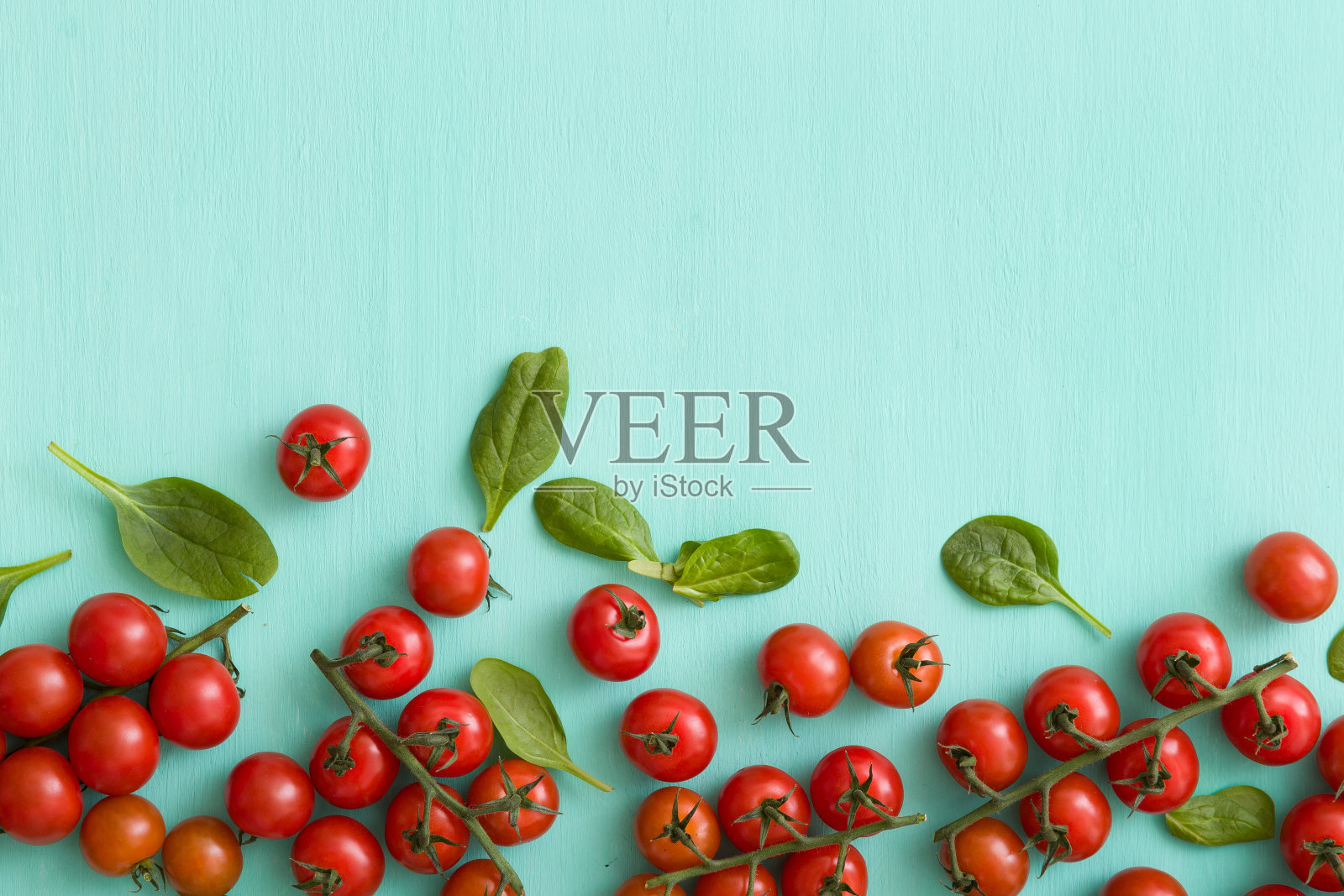 俯视图小束有机番茄与新鲜罗勒叶在绿松石木背景。照片摄影图片