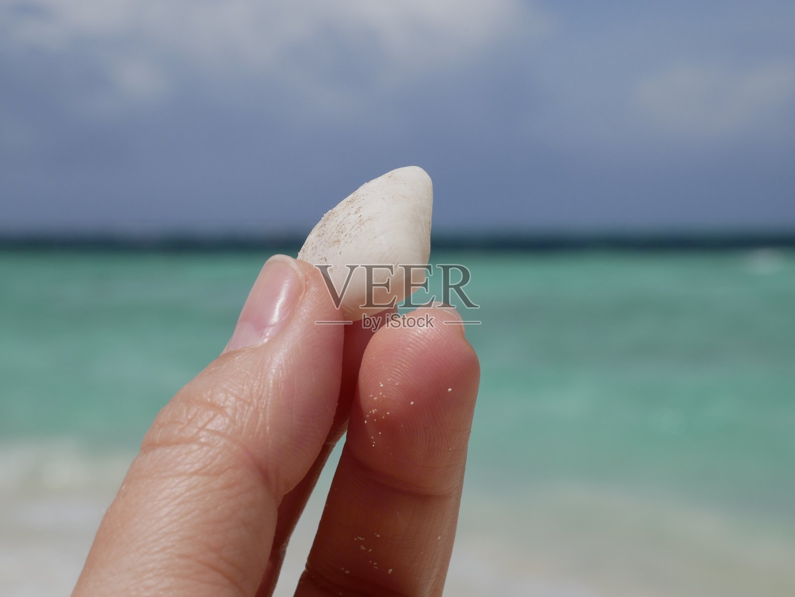在一个阳光明媚的夏日,一个女人的手拿着一个小贝壳,背景是海浪。指甲没有修指甲照片摄影图片