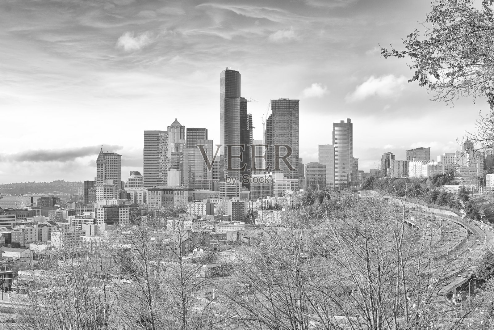 西雅图黑与白照片摄影图片