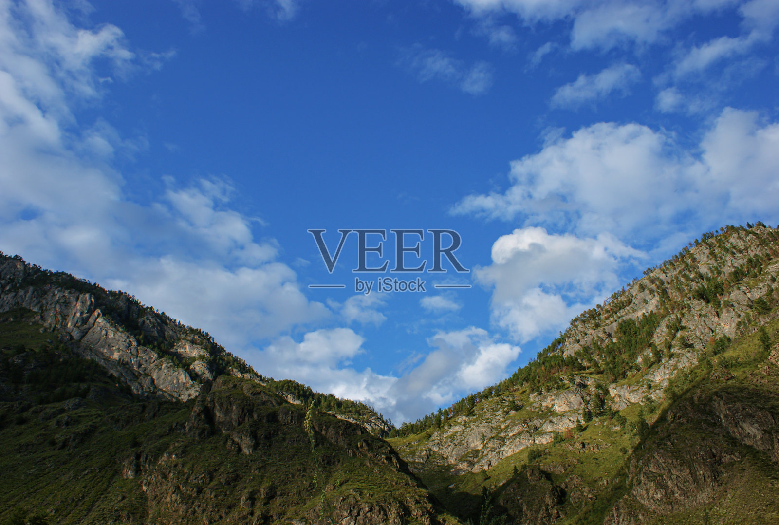 阿尔泰山脉靠近卡顿河。西伯利亚。俄罗斯。照片摄影图片