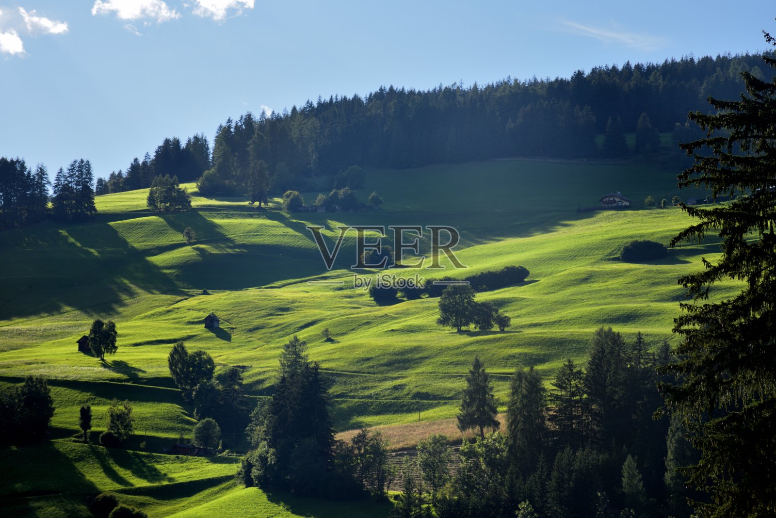 照耀着草坪上的阳光照片摄影图片