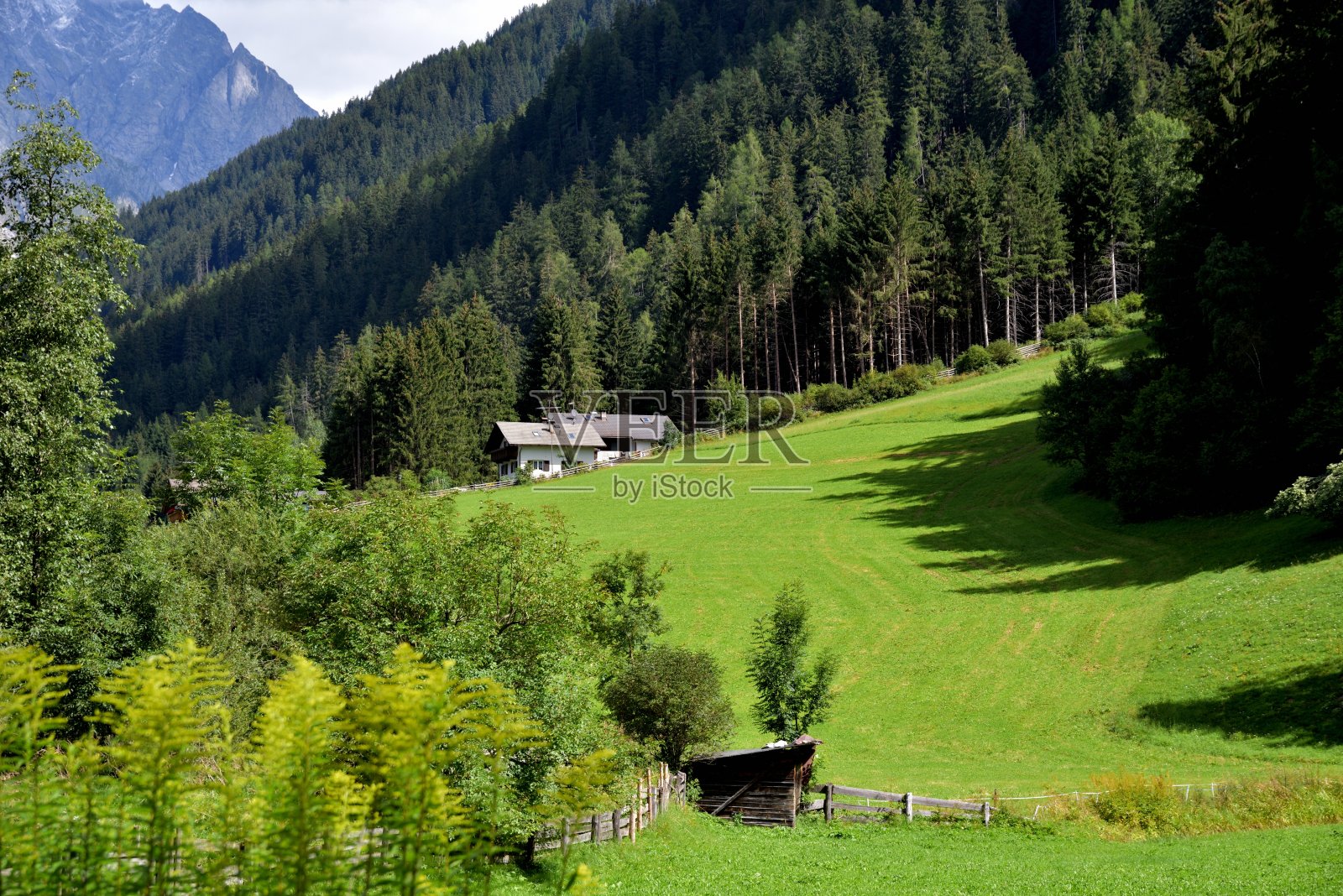 房子和森林照片摄影图片