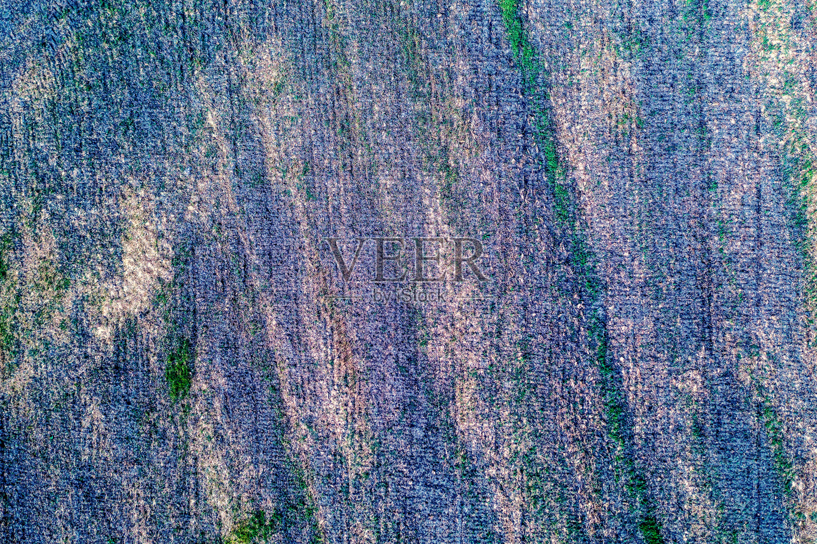 从上面看收割后的耕地纹理。蓝色调照片摄影图片