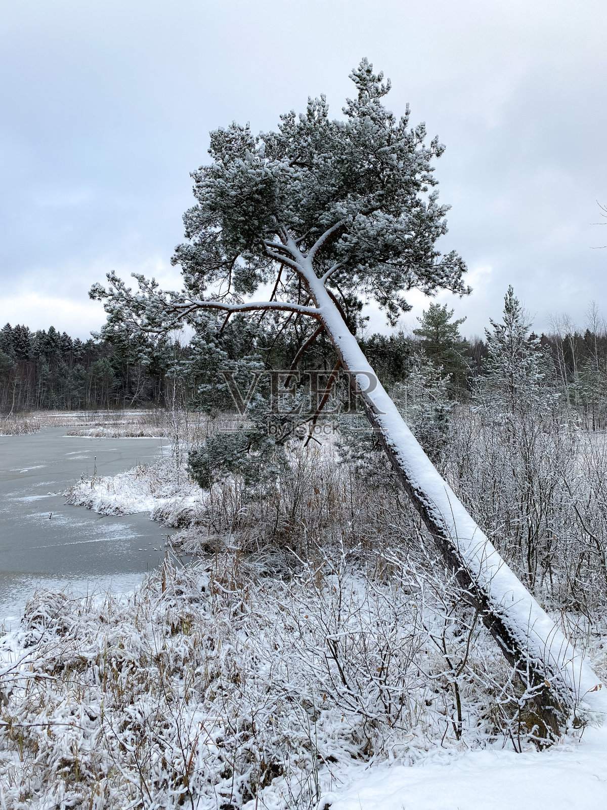 冬天的风景照片摄影图片